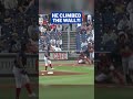 Did Spider-Man rob this home run?! 🕸️