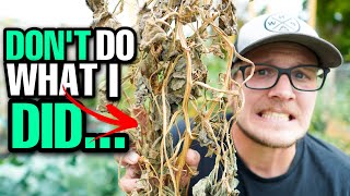 Top 9 Gardening Mistakes YOU Want To AVOID! (And How To Fix Them)