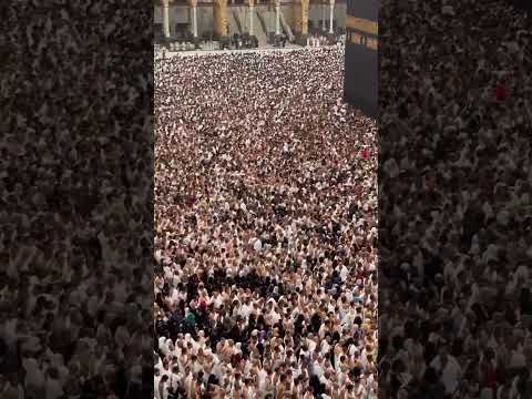 1 Hajj 2025 Preparations Begin 5 June 2025 Update