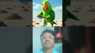 tota kabutar chuha Ne bachaya jan| #trending #love #facts