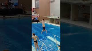 Dive 301b DD1.7  1Meter Springboard - Diving OSU
