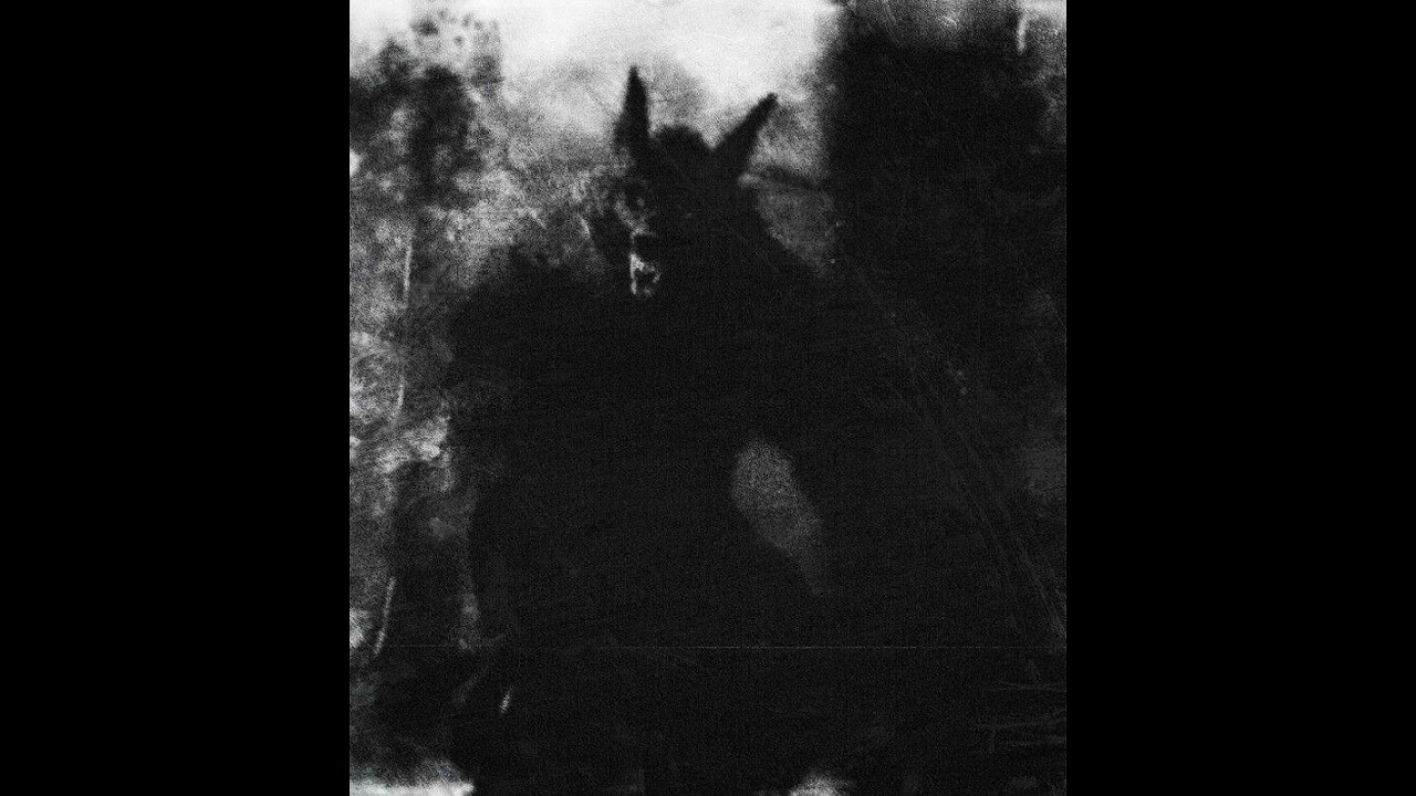 EJA - Snake's Den [DP011]