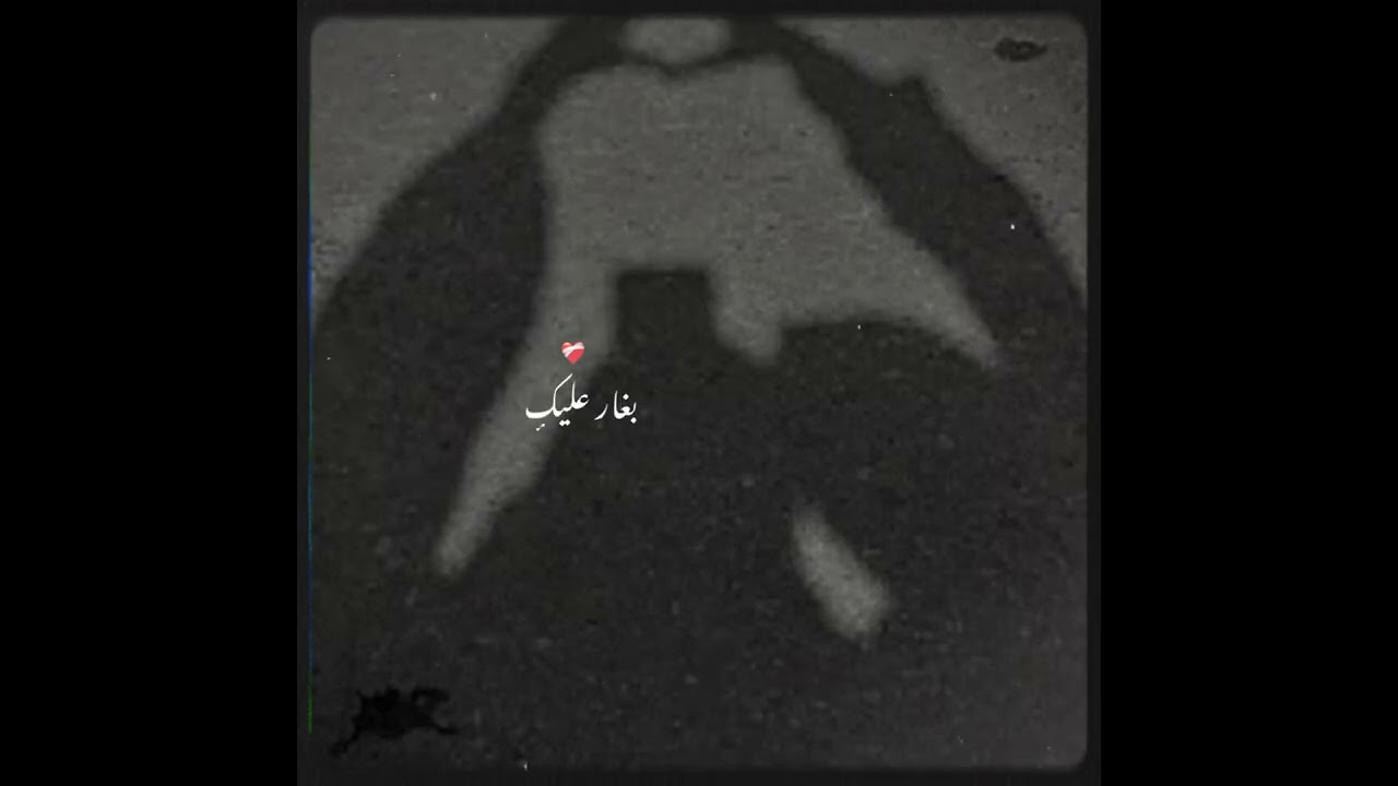 ٢٠ فبراير ٢٠٢٦