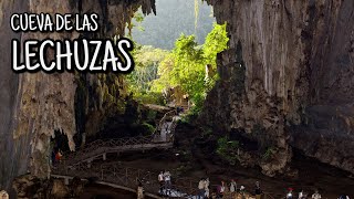 CUEVA DE LAS LECHUZAS - Tingo María