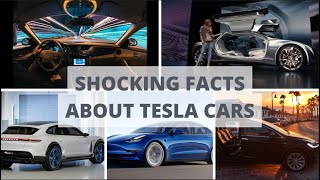 Surprising facts about Tesla you have to check out! Elon Musk worshipper should see!