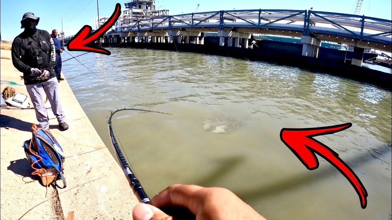 Everyone WANTS To Catch This FISH Galveston TX YouTube Everyone WANTS To Catch This FISH Galveston TX YouTube