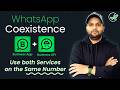 WhatsApp API Coexistence, Use the same numbers on WhatsApp Business App and the API | WiseSender