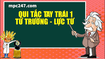 Từ trường là gì? qui tắc bàn tay trái 1, lực từ tác dụng lên đoạn dây điện, vật lí 11 dễ hiểu
