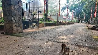 Ajita | Dambulla Caves Act 14