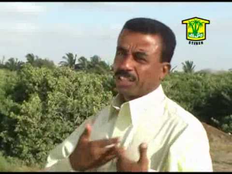 Naseer Ahmed Mana Gon Toh Shalla Mohabbat 