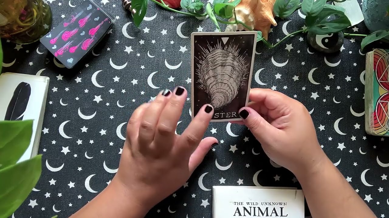 Близнецы ♊️: Сообщение, которое вам нужно услышать! ✨🦋