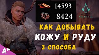 Гайд || Как найти много кожи и руды  || Assassin's Creed Valhalla Вальгалла