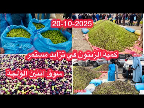 اليوم دخلات 50 طن ديال الزيتون لسوق اثنين الولجة و الثمن يتراوح بين 4 و 6 دراهم و كيعطي من 10 حتى 15