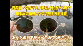 タケオ社長のDAKARA金栄堂 Youtube編 夕方(マズメ時)での明るめの偏光レンズ水面見え方比較(TALEX・コダック偏光レンズ)
