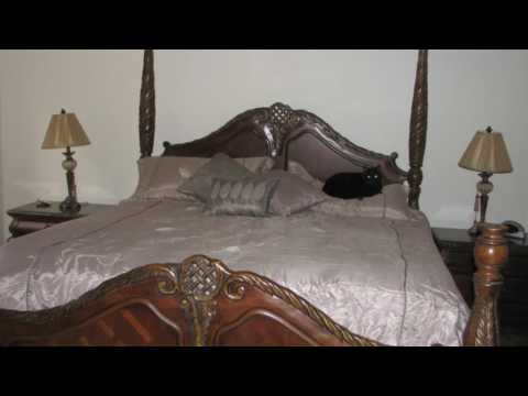 568 San Remo Circle, Inverness, FL home video tour
