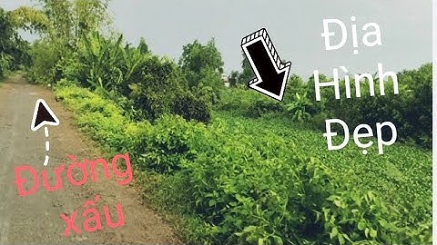 Câu Cá Rô Đồng. Hôm Nay Ae Trúng Mánh. Đụng Hàng Khủng Báo Tin Vui.@tranchungcuchi