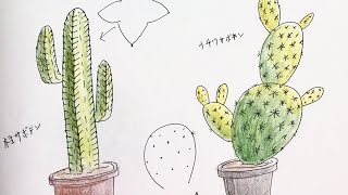 サボテン絵　専用 サボテンアートポスター｜ターコイズブルーで彩るおしゃれ南国