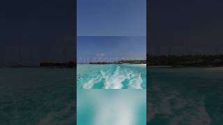 Lake Malawi: Earth's Most Diverse Fish Paradise