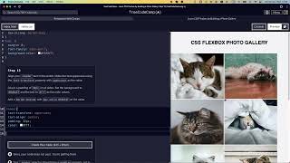 Celebrity Learn CSS Flexbox by Building a Photo Gallery - Step 13 #freecodecamp #css #learncss #flexbox #html5 Profile