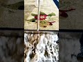 asmr foam scraping
