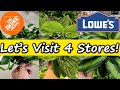 Shop With Me for Plants at 4 Different Big Box Stores!