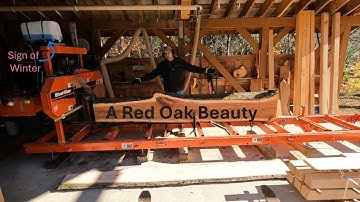 Milling Red Oak Lumber on the Wood-Mizer LT15
