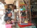 Election Campaign Dharavi: