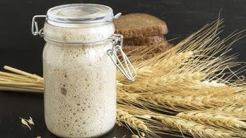 Food Fermentation: The Science of Cooking with Microbes