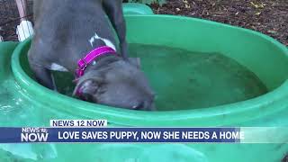 Top Headlines, Tuesday 9/5