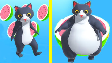 Overweight Cat in Fat 2 Fit 😻😹 All Levels Walkthrough (Gameplay iOS, Android)