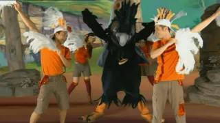 Wild Aussies Stardreams