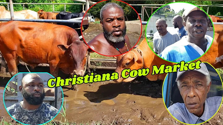 CHRISTIANA COW  MARKET VENDORS COMPLAINS ABOUT THE...
