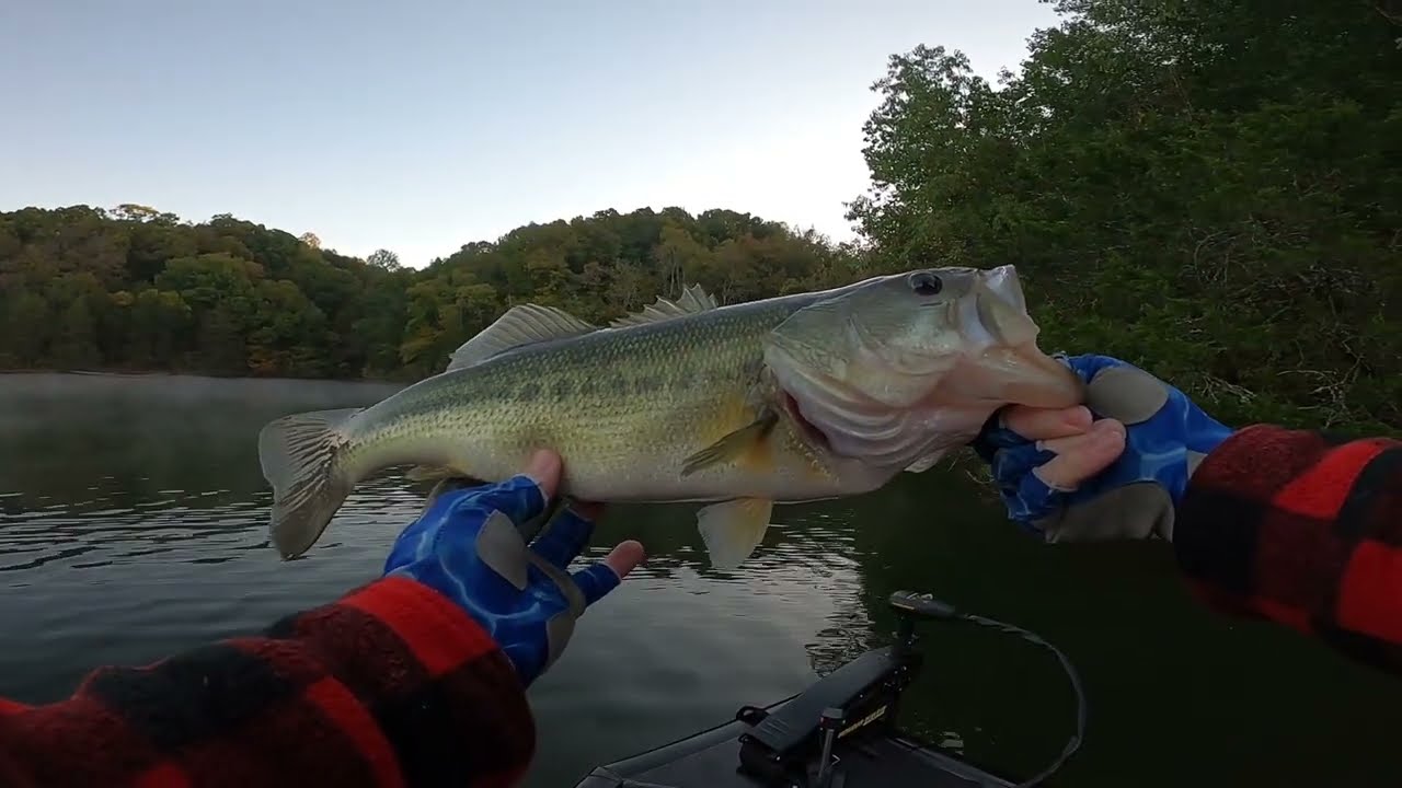 Early morning bass fishing, Tims Ford lake