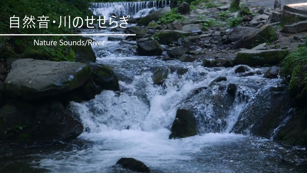 【自然音/睡眠・作業用BGM】早朝の清流のせせらぎ 小鳥のさえずり 【川/水音】Nature Sounds - YouTube