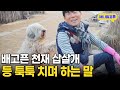 동네 주민에게 받아 온 삽살개 알고 보니 천재견이다 I KBS 동물극장 단짝 230128 방송