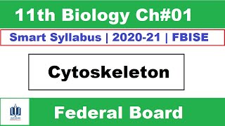 Cytoskeleton Structure and Function Class 11 Biology, Ilmi Stars Academy