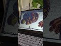 Digital sticker coloring process - Chestnut and Vin Brulè Edition - Fall 2025 #digitaljournaling