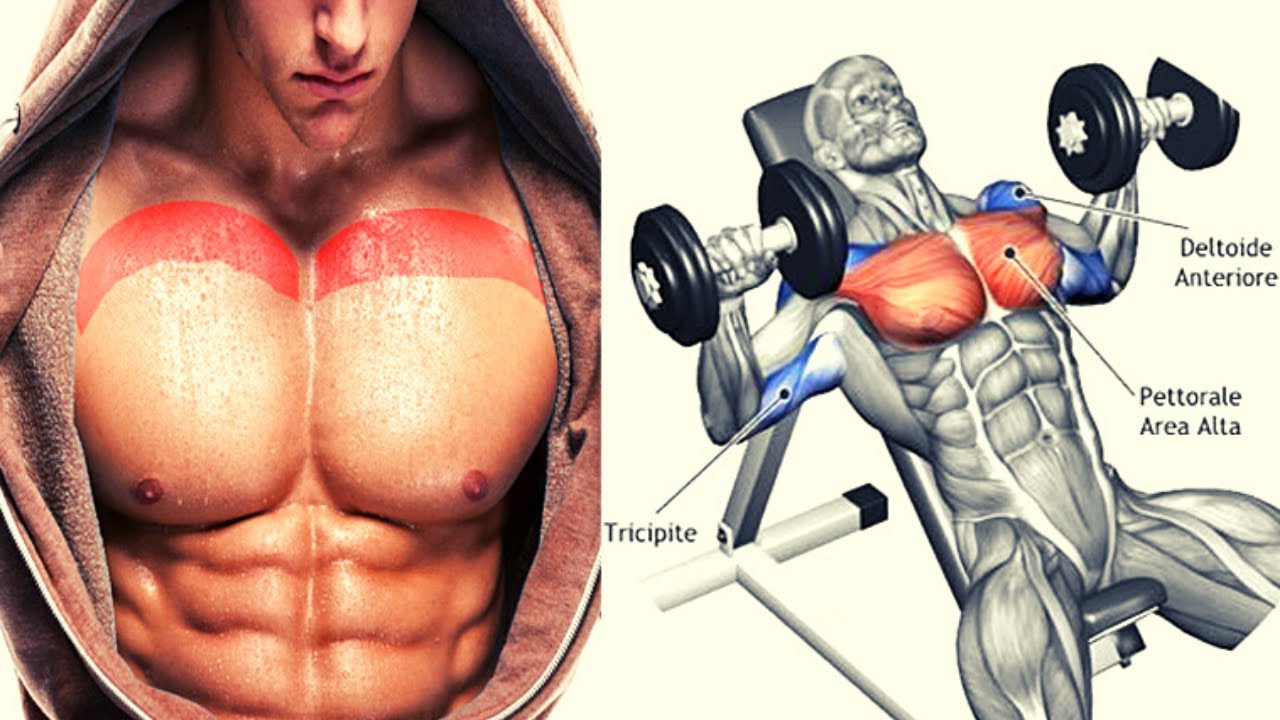 8 BEST UPPER CHEST EXERCICES / Meilleurs exercises pour muscler le haut