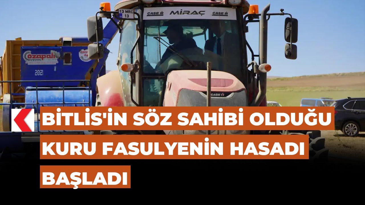 Bitlis'in söz sahibi olduğu kuru fasulyenin hasadı başladı
