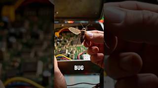 The First Ever Computer Bug! 🖥️🪰