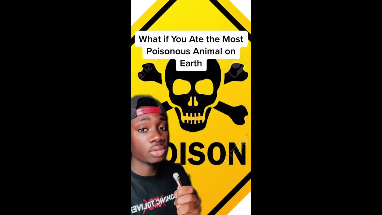 What If You Ate The Most Poisonous Animal In World 