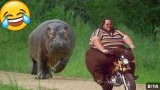 Most Funniest Moments 😂 Try Not To Laugh