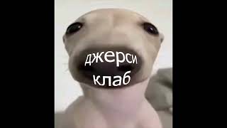 Free Jersey Club X Type Beat - Cherry Prod. By Mikael