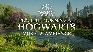 Harry Potter | 🌤️ Hogwarts Peaceful Music & Ambience w/ @cyber.worlds, No Mid-roll Ads