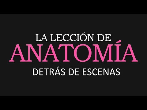 La Lección de Anatomía #5 (2019) I Detrás de Escenas
