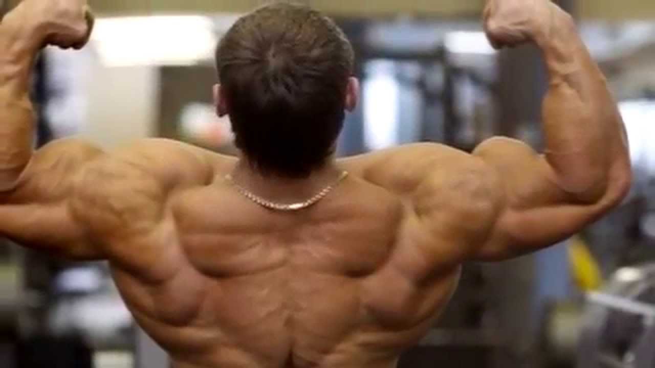 Animal Flex Талица