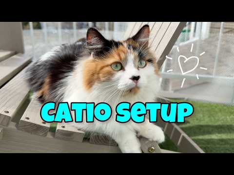 Setting Up Our DIY Balcony Catio