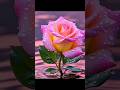 Rose🌹flower💐&amp; other flower🌼 pics😘 long video📸which is your favorite flower💮?#songlovers #viralvideo