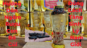 Hướng Dẫn Chi Tiết Cách Ngâm Rượu Con Bổ Củi Tăng Sinh Lý Nam Giới....