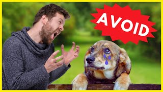 10 Things Dogs Hate You Should Avoid Doing: Keep Your Furry Friend Happy and Healthy